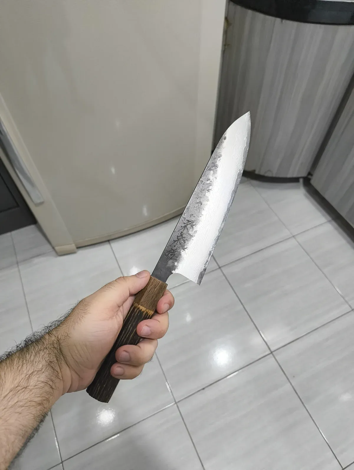 miraiden damascus gyuto vg10