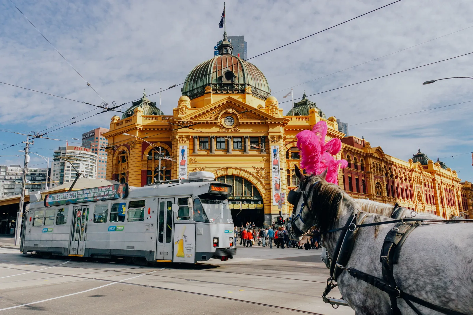 The year-long process to change the way public transport at La Trobe University was perceived